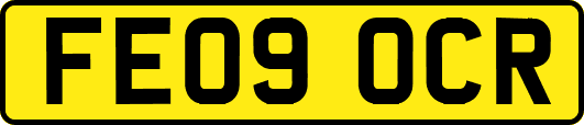 FE09OCR