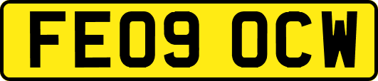 FE09OCW