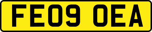FE09OEA