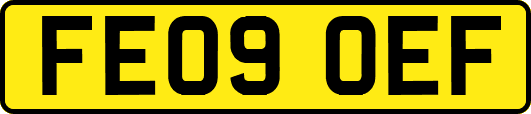 FE09OEF