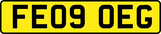 FE09OEG