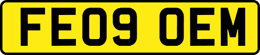 FE09OEM