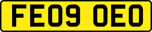 FE09OEO