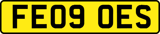 FE09OES