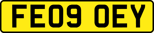 FE09OEY