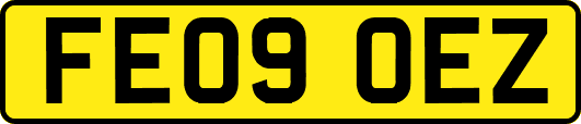 FE09OEZ