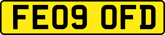 FE09OFD