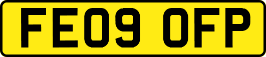 FE09OFP