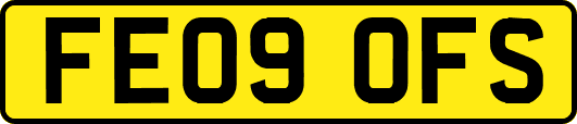 FE09OFS