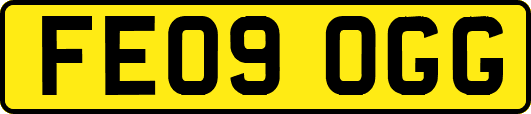 FE09OGG