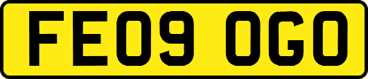 FE09OGO