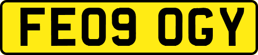 FE09OGY