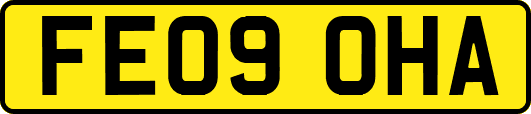 FE09OHA
