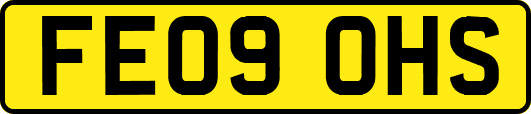 FE09OHS