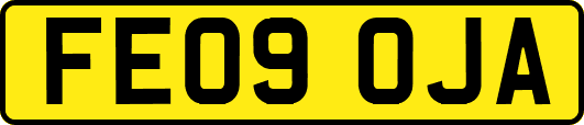 FE09OJA