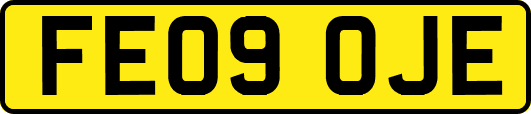 FE09OJE