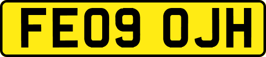 FE09OJH