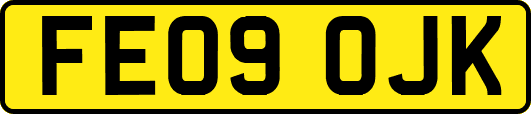 FE09OJK