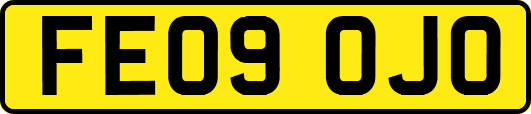 FE09OJO