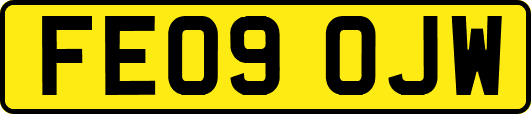 FE09OJW