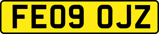 FE09OJZ