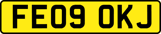 FE09OKJ