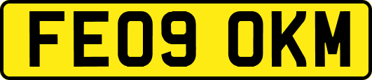 FE09OKM