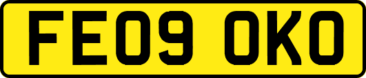 FE09OKO