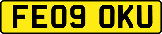 FE09OKU