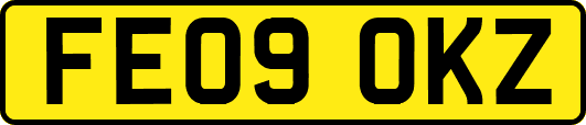 FE09OKZ