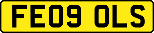 FE09OLS