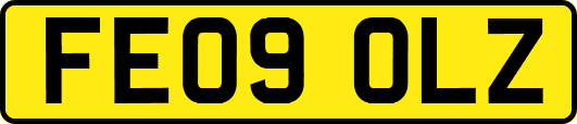 FE09OLZ