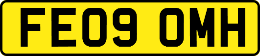 FE09OMH