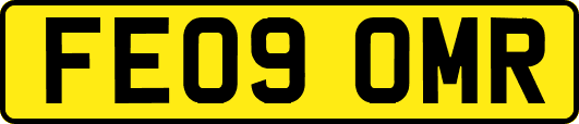 FE09OMR