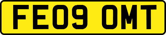 FE09OMT