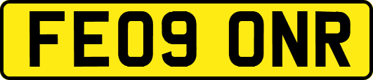 FE09ONR