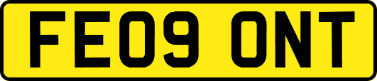 FE09ONT