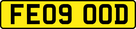 FE09OOD