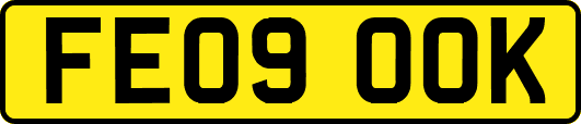FE09OOK