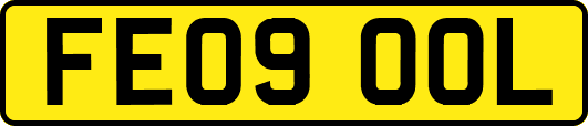 FE09OOL