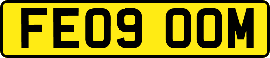 FE09OOM