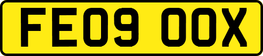 FE09OOX