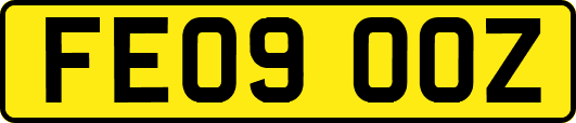 FE09OOZ