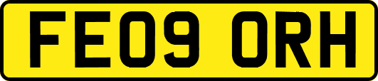 FE09ORH