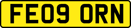 FE09ORN