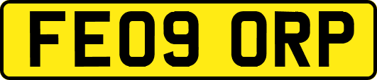 FE09ORP