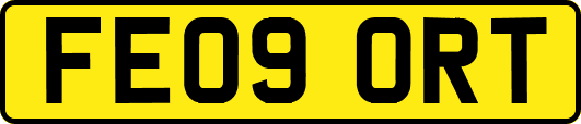 FE09ORT