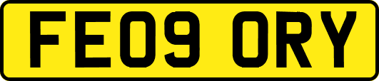 FE09ORY