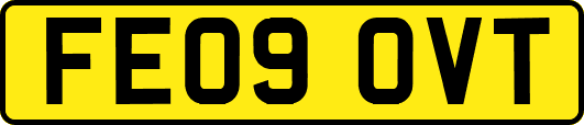 FE09OVT