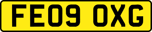 FE09OXG